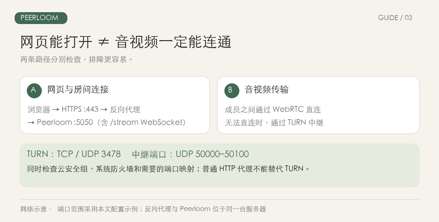 公网网络示意:HTTPS 网页连接和 WebRTC、TURN 媒体传输
